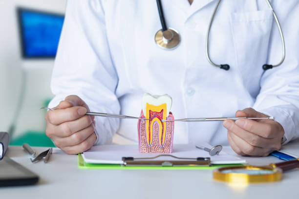 Best Emergency Dentist for Lost Fillings or Crowns in Fulton, MO
